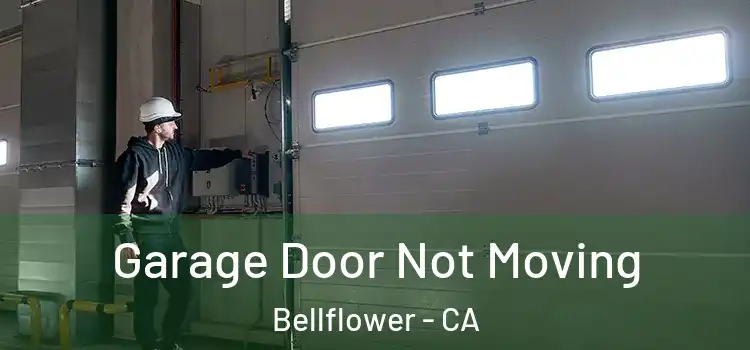 Garage Door Not Moving Bellflower - CA
